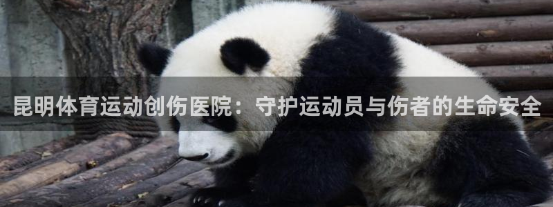 风速体育下载：昆明体育运动创伤医院：守护运动员与伤者的生命安全