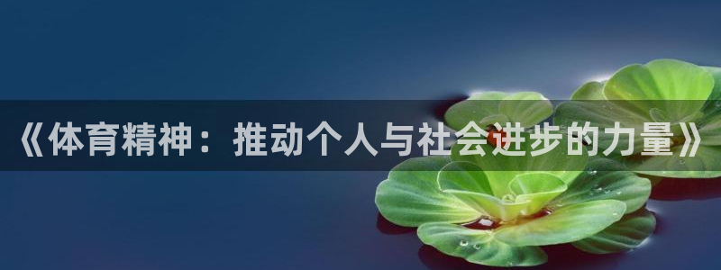 风速体育直播篮球nba回放：《体育精神：推动个人与社会进步的力量》