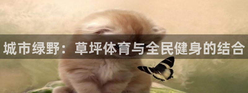 风速体育龙门直播：城市绿野：草坪体育与全民健身的结合