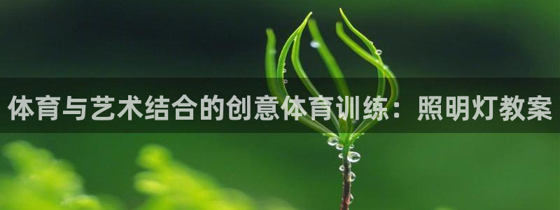风速体育app下载官网最新版：体育与艺术结合的创意体育训练：照明灯教案