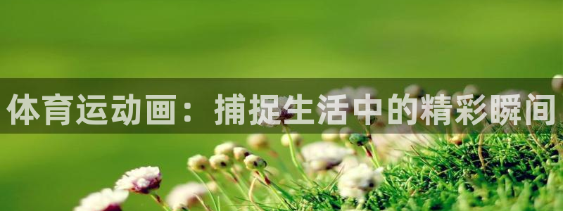 风速体育收费吗：体育运动画：捕捉生活中的精彩瞬间