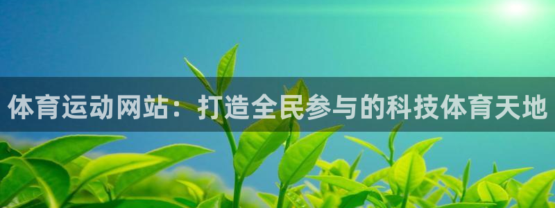 风速体育在线：体育运动网站：打造全民参与的科技体育天地