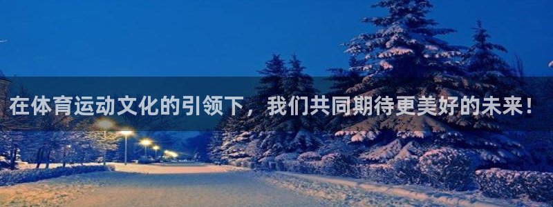 风速体育下载免费：在体育运动文化的引领下，我们共同期待更美好的未来！