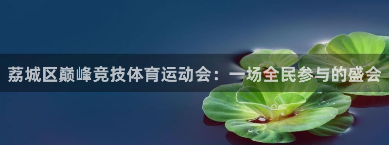 风速体育在线直播：荔城区巅峰竞技体育运动会：一场全民参与的盛会