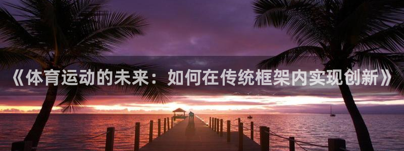 风速体育直播app官方入口：《体育运动的未来：如何在传统框架内实现创新》
