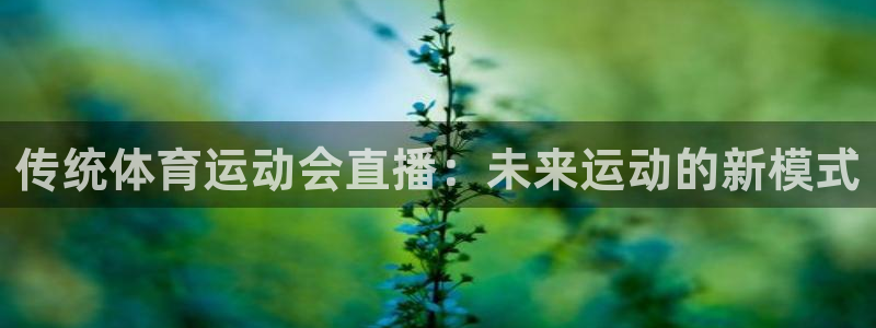 风速体育是正规公司吗：传统体育运动会直播：未来运动的新模式
