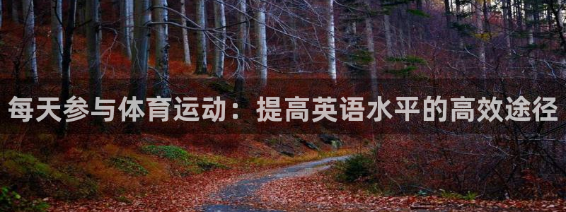 风速体育下载免费：每天参与体育运动：提高英语水平的高效途径